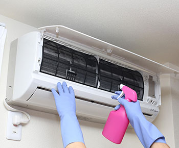 ����������������� ���������